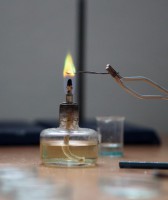 /album/a88/p1010010-small-jpg19/